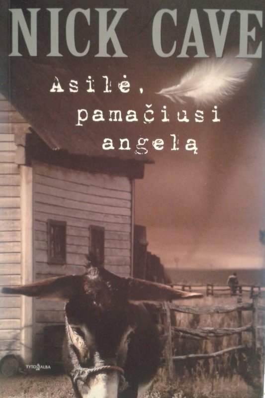 „Asilė, pamačiusi angelą“