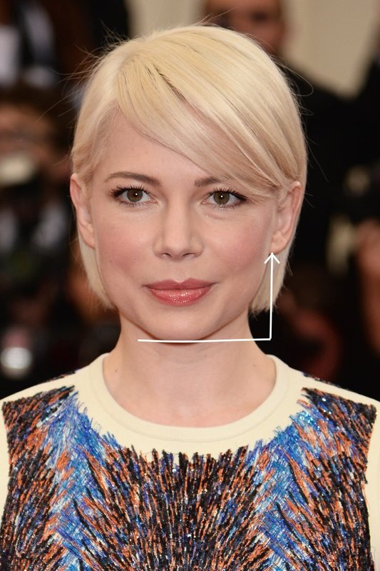 Aktorė Michelle Williams