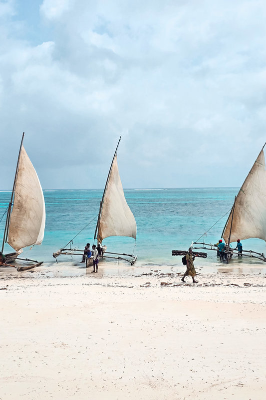 Saugirdo Vaitulionio kelionė į Zanzibarą