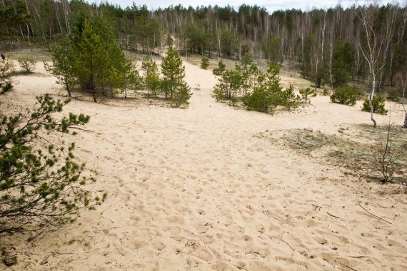 Photo by D.Smagurauskaitė / Bartkuškis dune