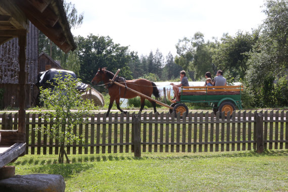 Photo by Martynas Sirusas / adfoto.lt / Horse Museum