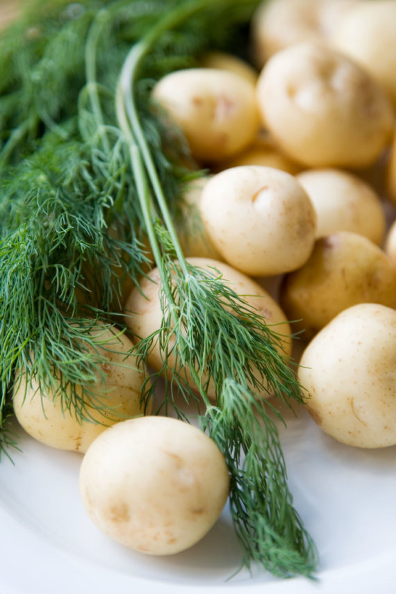 Photo by Vida Press / Potatoes and dill