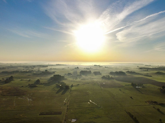 Photo by Lukas April / 15min / Early morning in the Žuvintas Biosphere Reserve