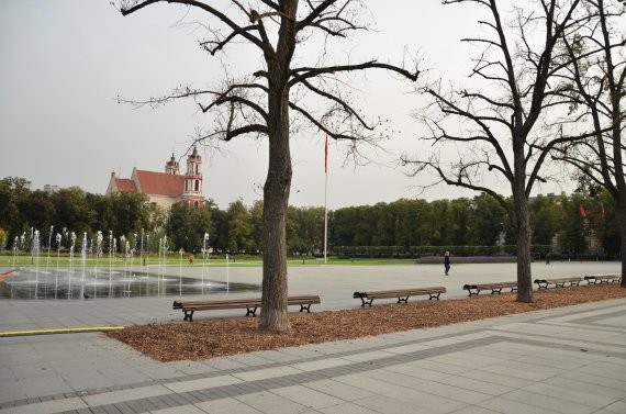 Photo by Beatričė Bankauskaitė / Lukiškių Square, July 2020 in October