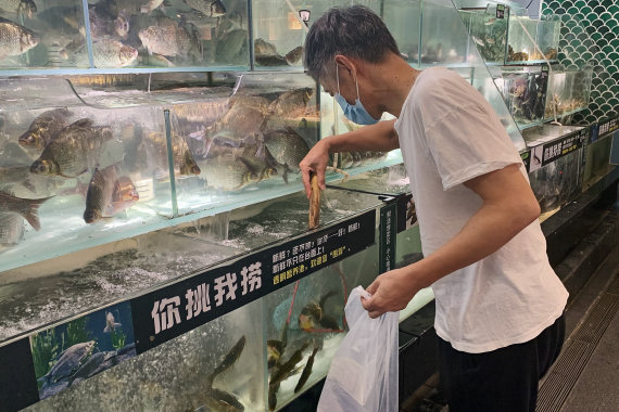 Photo by Scanpix / ITAR-TASS / Wuhan Market