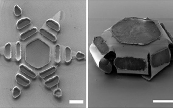 Photo from Johns Hopkins University.  / Invention of Johns Hopkins University Scientists - Terrier Grappers 