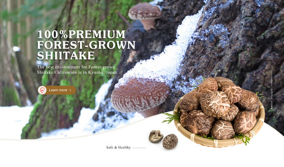 Store Stock Photo / AssortmentManojaponija.lt - exclusive shiitake mushrooms