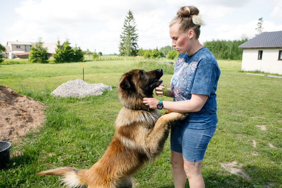 Erik Ovcharenko / 15min photo / Pets of the shelter owner