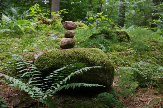 Erik Ovcharenko / 15 min photo / Stone Path cognitive trail