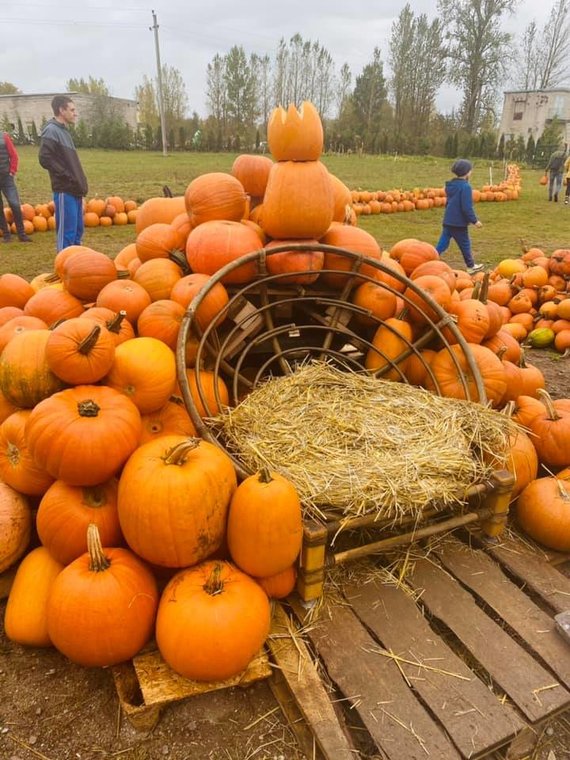 Photo by Dexterių Ūkis / Pumpkin Throne - A popular spot for a photo