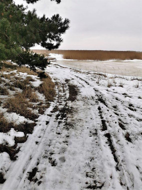 KNNP photo / Driving an ATV in Curonian Spit National Park is prohibited.