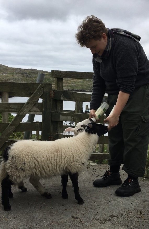 Photo by Nida Art Colony / Dovilė Lapinskaitė and sheep