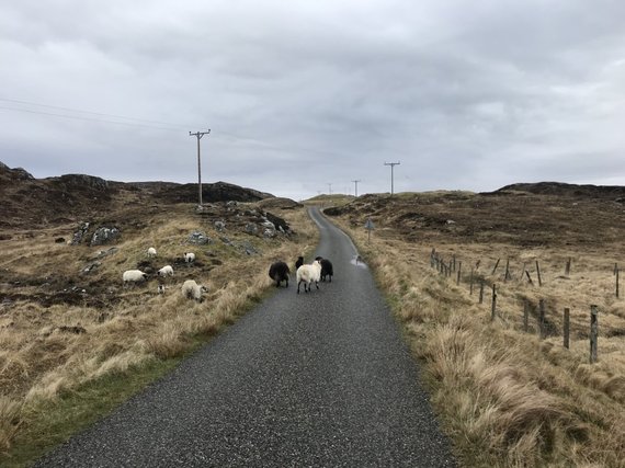 Personal bow.  photo / Dovilė Lapinskaitė has been living in Scotland, a community of women, for several years.