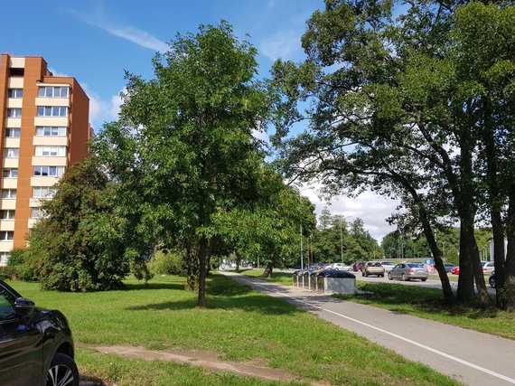 J. Andriejauskaitė / 15min photo / In some places the containers are conveniently located, near the pedestrian areas.