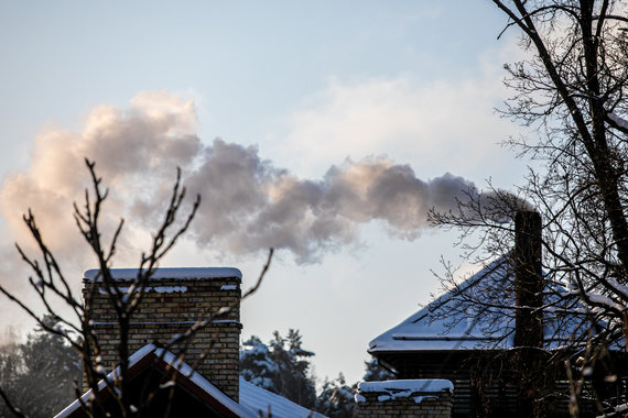 Photo by Julius Kalinskas / 15min / Cold wave touched the nature of the capital