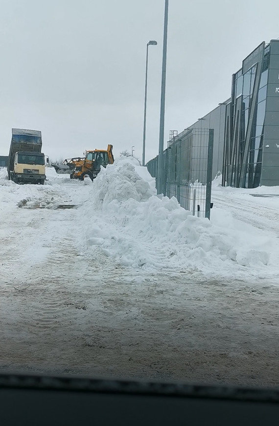 15-minute photo of the reader / Snowy mountains in Kuprioniškės