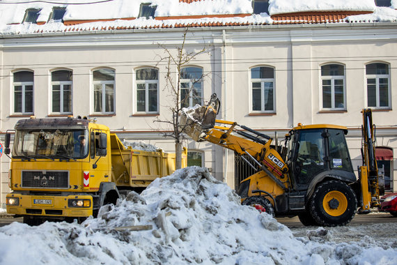 Photo by Lukas Balandis / 15min / Snow cat managed in Vilnius