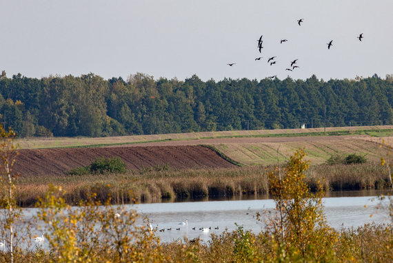 Photo by Lukas Balandis / 15min / Žaltutis Zoological and Botanical Reserve