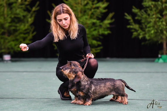 Photo from personal album / Ieva Basokė with her pets