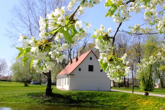 Šakiai Tourist Information Center Photo / Gelgaudiškis Mansion