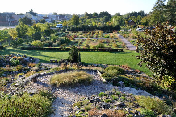 A fragment of the garden