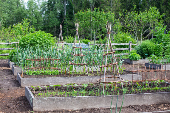 Photo of Garden Pearls / Oleri Manor in Latvia