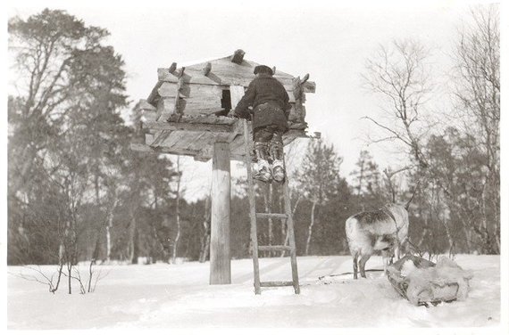 Photo by Karl Nickul, Fenno-Ugric Image Collection, Finnish Heritage Agency / Traditional Sami House 