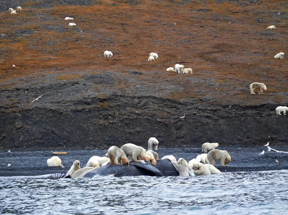 Photo by M.Oginskas / Photos of tourist expeditions