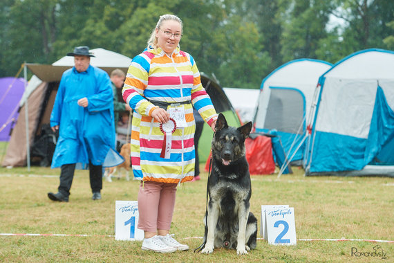 Staff archive photo Rugil Foto breeds Eastern European shepherds