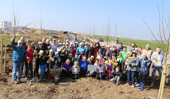 Photo of the Kaunas district municipality / Aid for the planting of Liepų alley in Giraitė