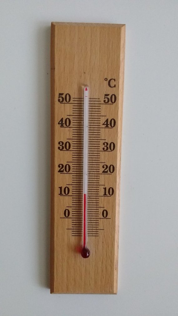 Photo by reader Lina / The tenant claims that the apartment on Šiaurės avenue was only 11 degrees hot