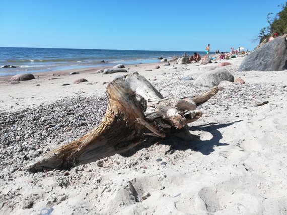 Photo of Alvydas Januševičius / 15min / Sandy beaches of the Baltic Sea