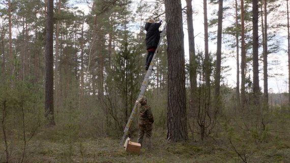 Photo by LRT / Dovilė Filmanavičiūtė