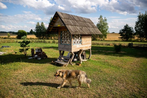 Sigismund Gedvila / 15min photo / Angelica Kedar's Farm