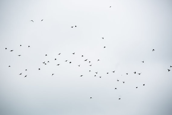 Photo by Sigismund Gedvila / 15min / Snowy day in Vilnius