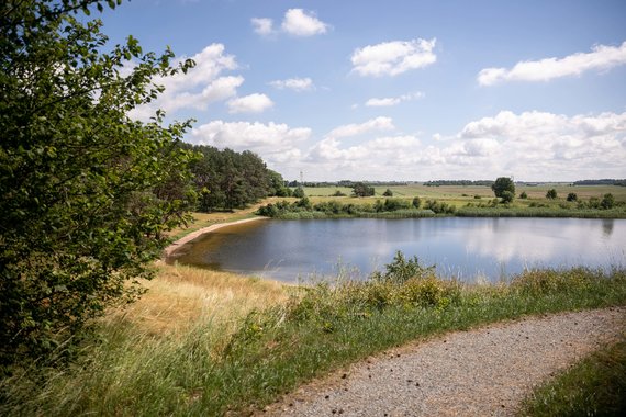 Sigismund Gedvila / 15-minute photo / Statkūniškės trail