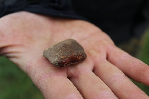 Photo of the participants of the VU archaeological expedition. A piece of amber was found at the bottom of Perkasa