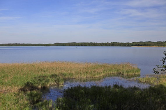 Photo by Vytautas Kandrotas / Lake Luodis