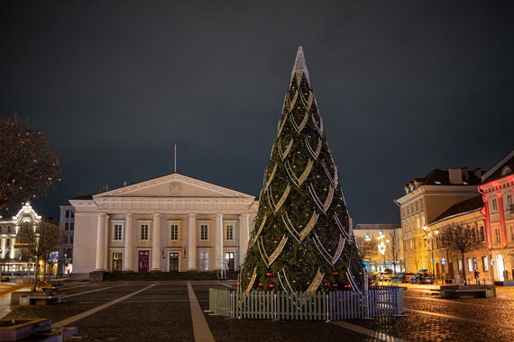 Photo by Saulius Žiūra / Extinct Town Hall Square Fir