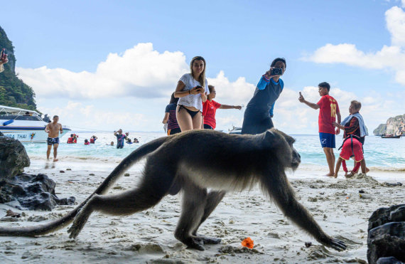 Photo from 123rf.com/Tourists in Thailand