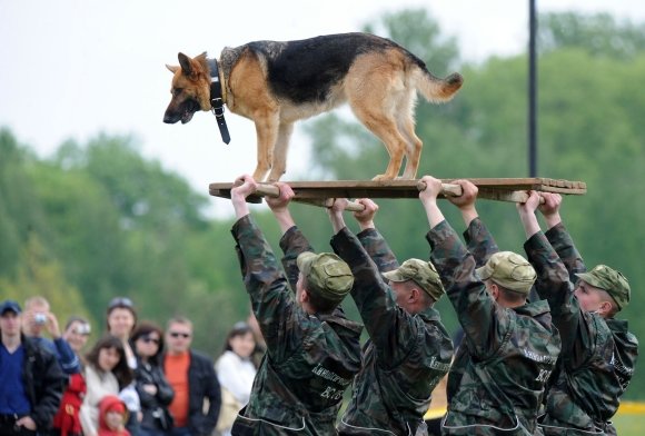 AFP/„Scanpix“ nuotr./Baltarusijos kariai su šunimi per viešą pasirodymą (2009 m.)