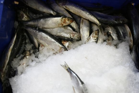 15min.lt nuotr./Iš Žuvininkystės produktų aukciono norima susigrąžinti apie 5,6 mln. Lt, skirtų iš Europos Sąjungos fondų. 