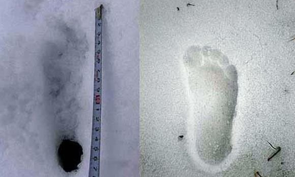 AFP/„Scanpix“ nuotr./Nepale aptikta „sniego žmogaus“ pėda