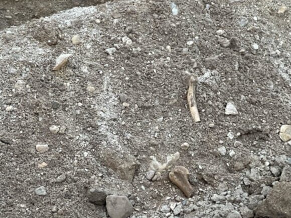 15min skaitytojo nuotr./Marijampolėje rasti galbūt žmogaus kaulų fragmentai