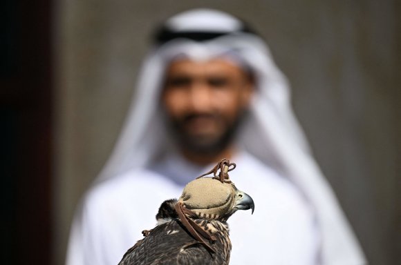 AFP/„Scanpix“ nuotr./Sakalas – Kataro simbolis