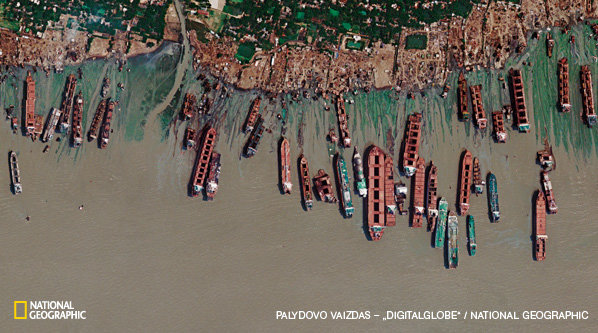 National Geographic nuotr./Palydovo nuotraukoje matoma 1,6 km ilgio Bangladešo pakrantės atkarpa į šiaurę nuo Čitagongo. Čia į krantą išplukdomi ir išardomi laivai iš viso pasaulio. Laivų ardykloms buvo iškirsta net 12 km mangrovių miškų. Paprastai ardykla užima ne daugiau nei ruoželį paplūdimio, kuriame telpa vienas didelis 