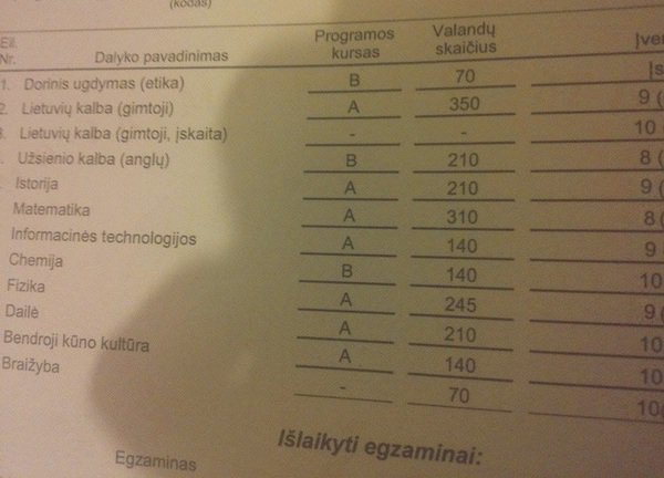 Skaitytojo nuotr./M.Šalčiūtės vėliau pasidalinta atestato nuotrauka 