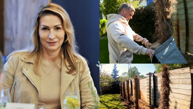 Byloje dėl palmių &ndash; Bosams palankus teismo verdiktas: įmonė sprendimą žada skųsti
