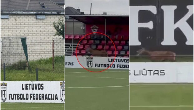 Elnias įsiveržė į Tauragės &bdquo;Tauro&ldquo; auklėtinių treniruotę: teko tvarkyti stadiono infrastruktūrą