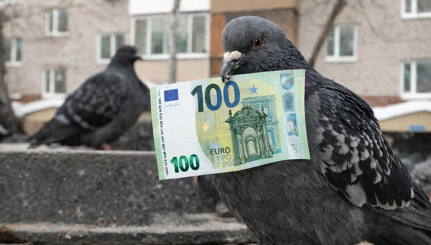 Balandžiai okupavo balkoną? Žala &ndash; ne tik finansinė